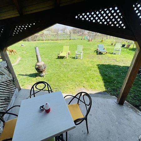 Greenpark Garden Villa Family Apartments Near Tokaj Серенч Екстериор снимка