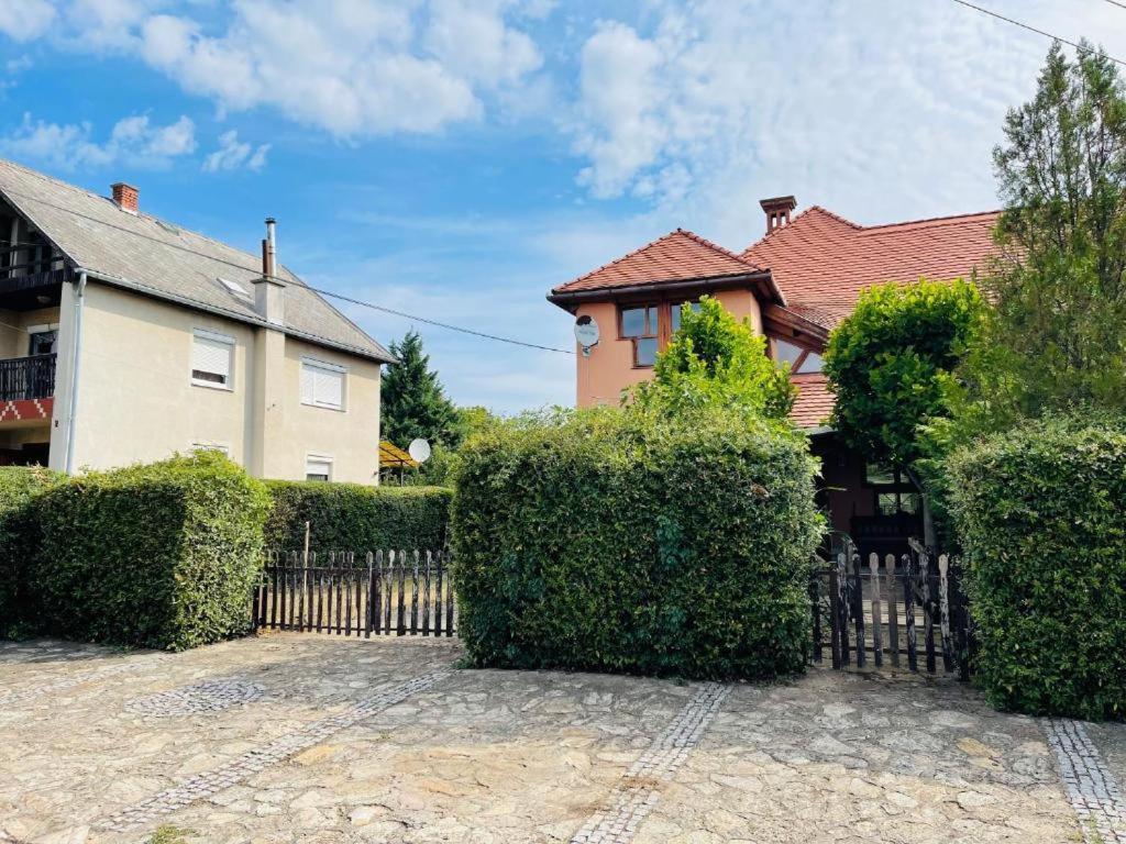 Greenpark Garden Villa Family Apartments Near Tokaj Серенч Екстериор снимка