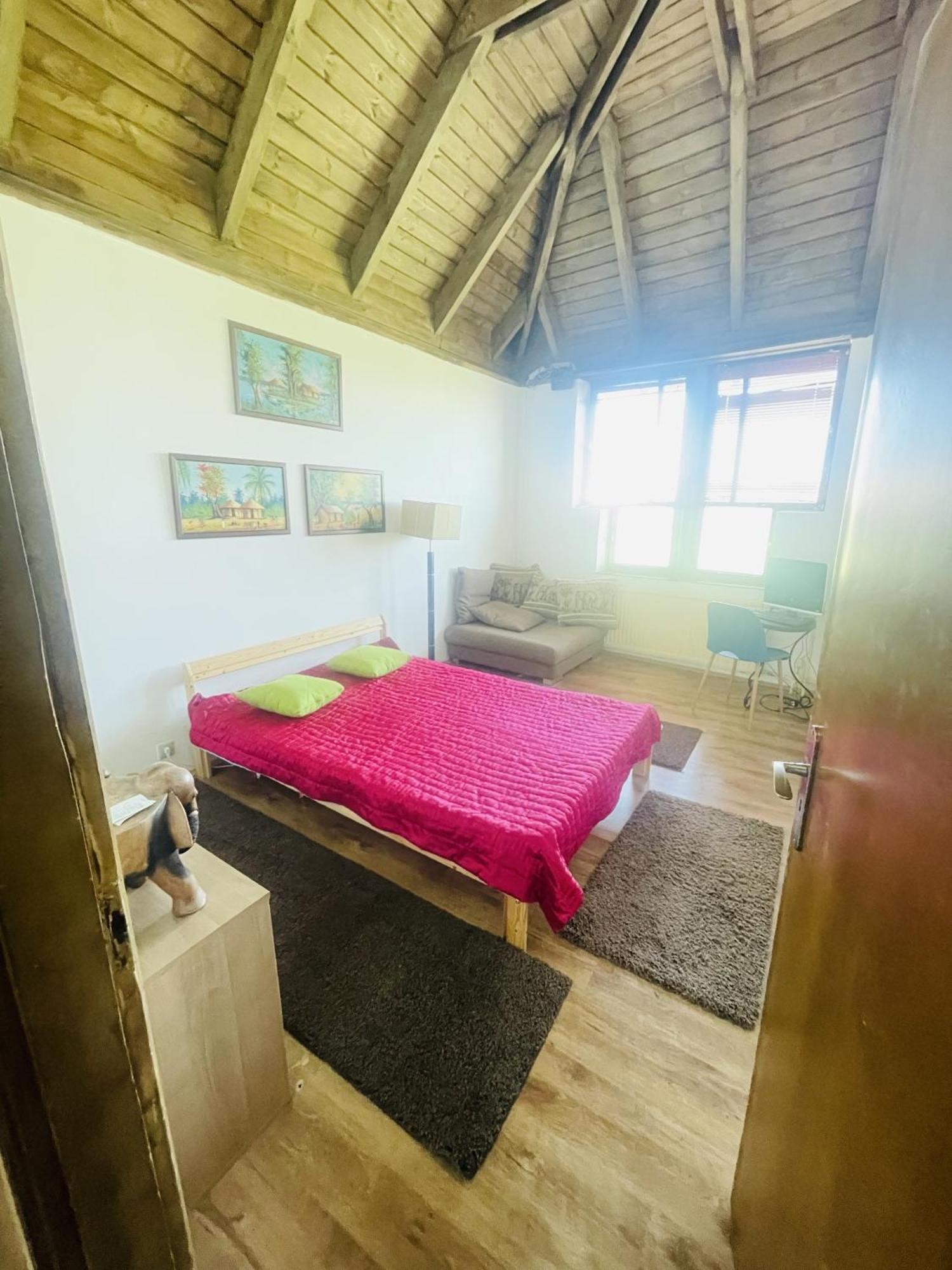 Greenpark Garden Villa Family Apartments Near Tokaj Серенч Екстериор снимка