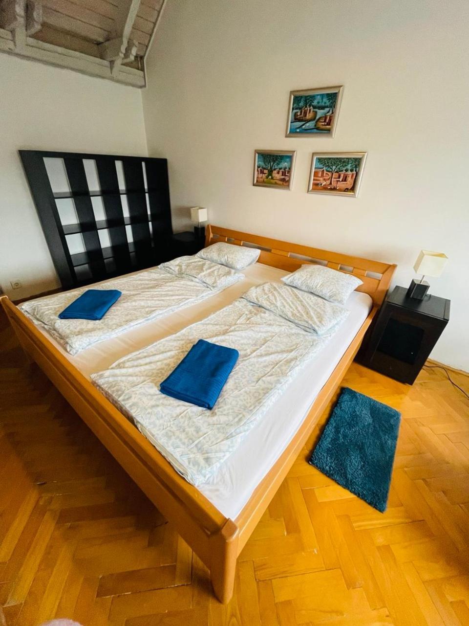 Greenpark Garden Villa Family Apartments Near Tokaj Серенч Екстериор снимка