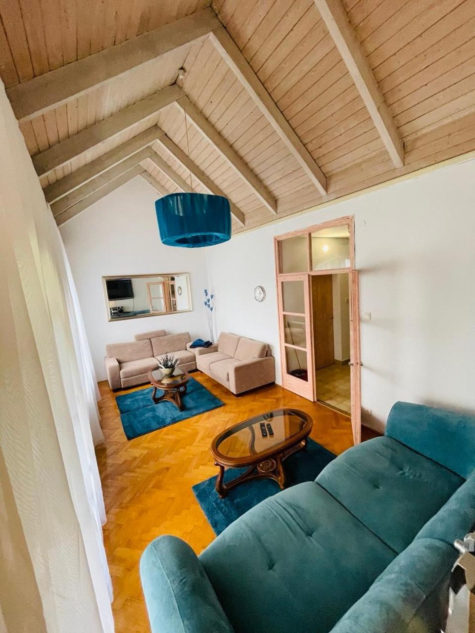 Greenpark Garden Villa Family Apartments Near Tokaj Серенч Екстериор снимка